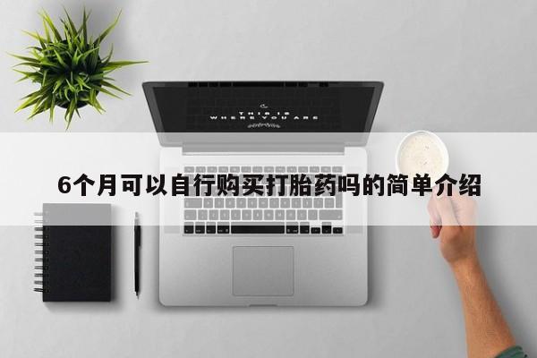 私人那可以买到打胎药6个月可以自行购买打胎药吗的简单介绍